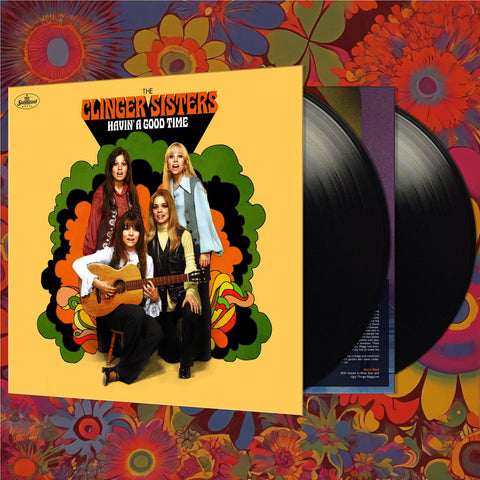 Havin' A Good Time (Vinyl)