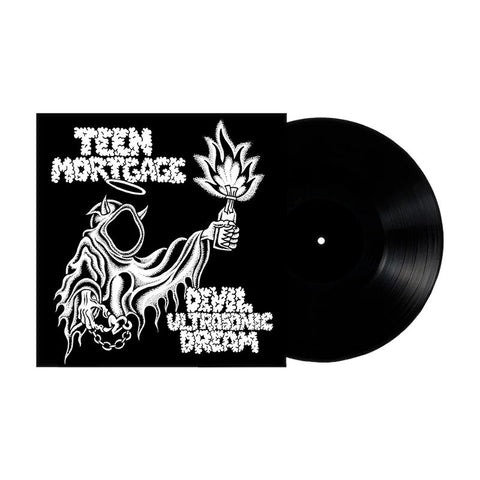 Devil Ultrasonic Dream (Vinyl)