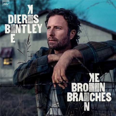 Broken Branches (Import)