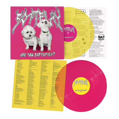 Are You Satisfied? (10th Anniversary Vinyl Edition) (Import)