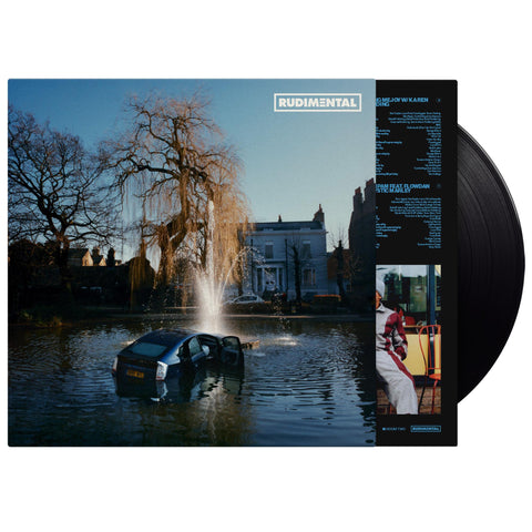 RUDIM3NTAL (Vinyl)