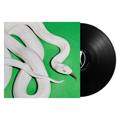 Private Music (Vinyl)