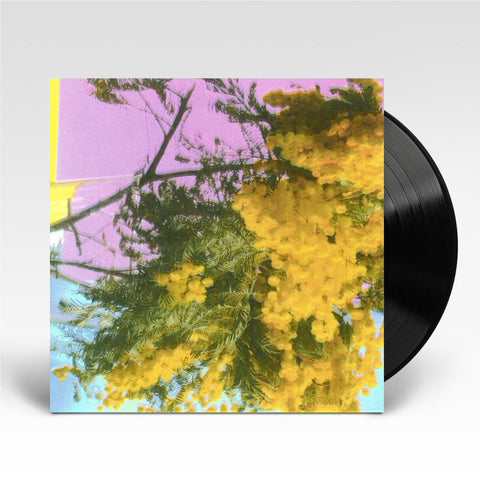 Into Dust (Still Falling) (Vinyl)
