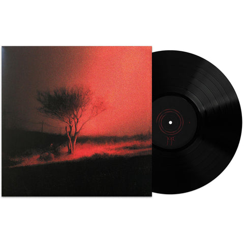 Piss In The Wind (Vinyl)
