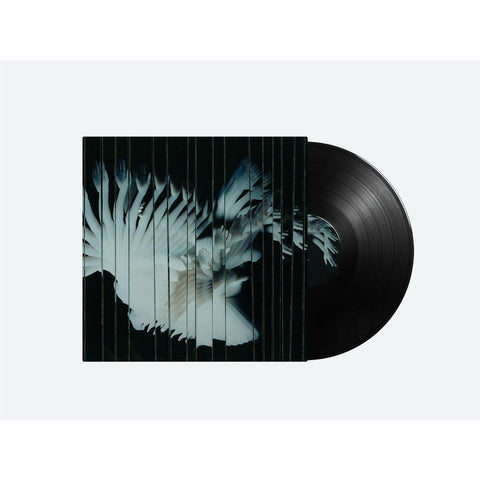 Endlessly (Vinyl)