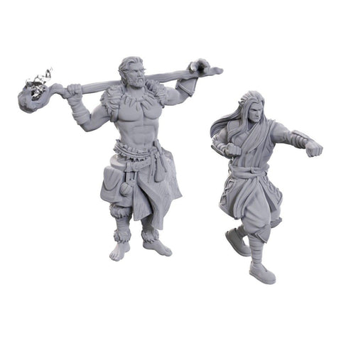 Wizkids D&D Nolzur's Marvelous Miniatures: Archdruid & Martial Arts Adept