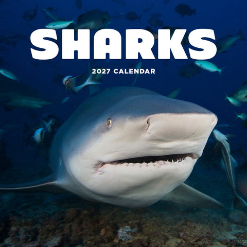 Sharks Calendar 2027