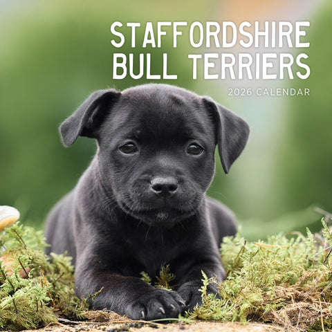 Paper Pocket Staffordshire Bull Terriers 2026 Calendar