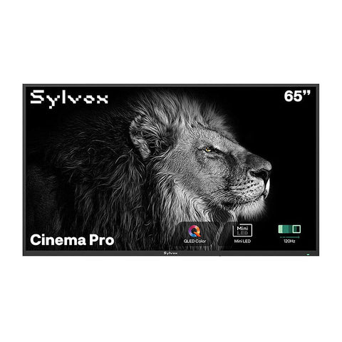 Sylvox Cinema Pro 65'' Helio QLED Outdoor TV