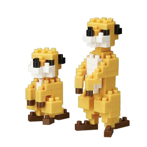 NBC_203 Meerkat 2