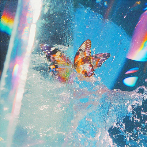 BUTTERFLY