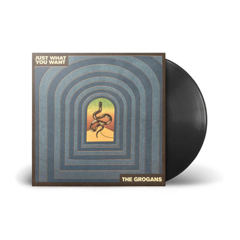 Just What You Want (Limited Edition Alternative Blue Cover Vinyl)