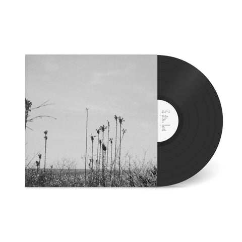 Blue Divers II (Vinyl)