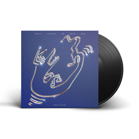 Don't Forget to Have Fun (Vinyl)