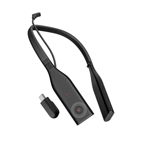 VITURE Pro Neckband (12+256)