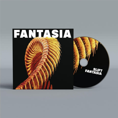 Fantasia