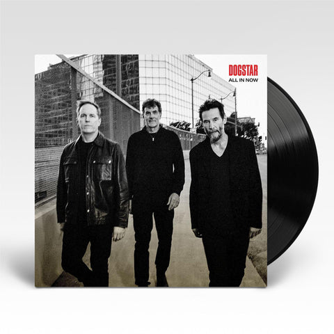 All In Now (Vinyl)