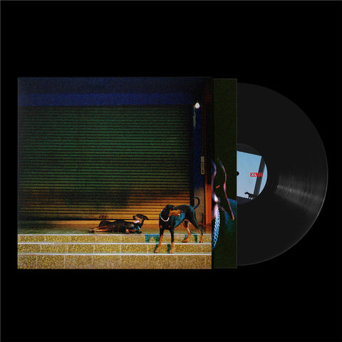 Pure Devotion (Vinyl)
