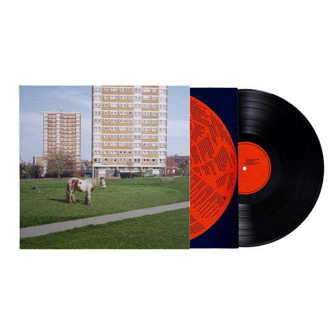 It Goes On (Vinyl)