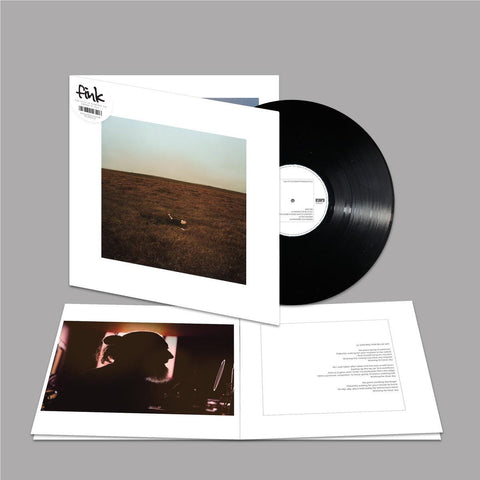 City Is Coming To Erase It All (Vinyl)
