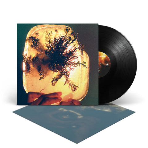 fata morgana (Vinyl)