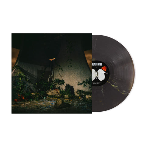 THE PLOT IN YOU (Thunderstorm Coloured Vinyl) (Import)