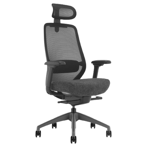 Desky CoilFlex Ergonomic Office Chair - Black / Headrest