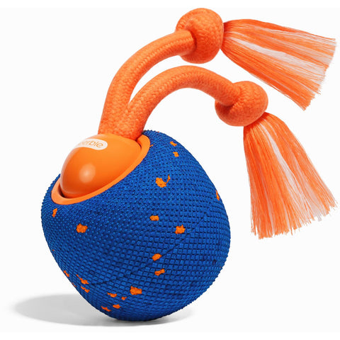 Cheerble Wicked Ball Rolly (Royal Blue)