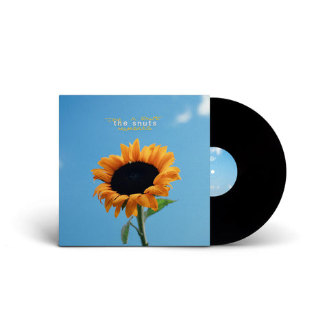 Joy In Short Moments (Vinyl)