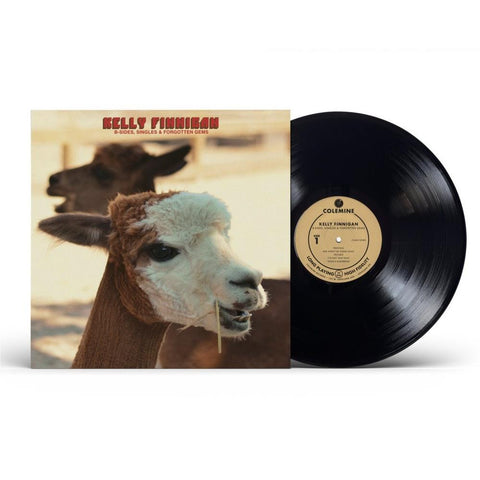 B-Sides Singles & Forgotten Gems (Vinyl)