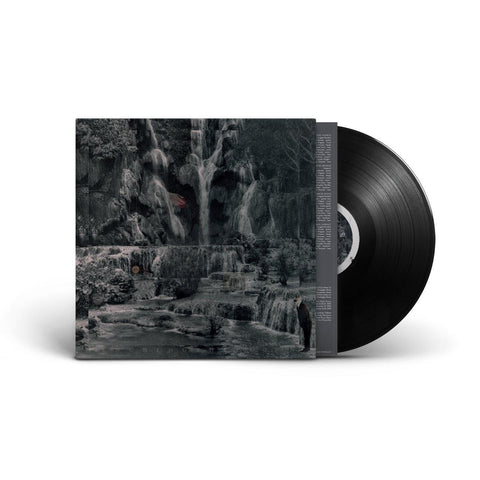 Punching The Clown (Vinyl)