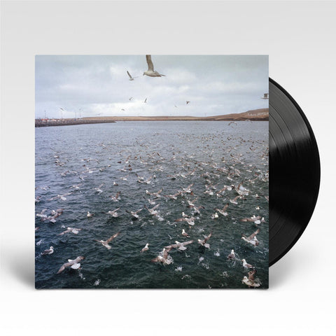 Rest (Vinyl)