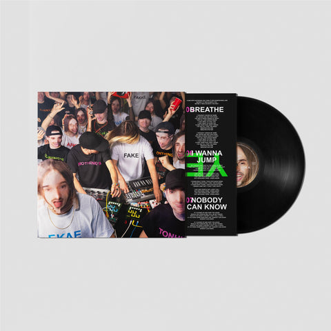 Nothing's Fake (Vinyl)