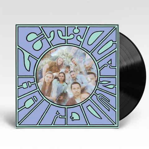 Let Your Hair Down (Vinyl)