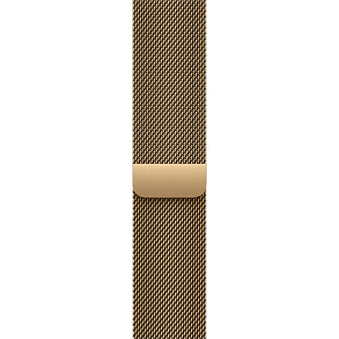 Apple Watch 40mm Radiant Gold Milanese Loop