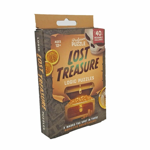 Professor Puzzle Logic Puzzle Lost Treasure