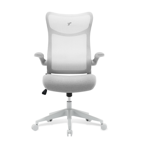 TT AIRFLEX V2 Ergochair - Ashy Grey