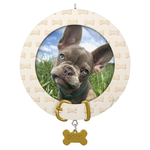 Faithful Friend, Photo Frame - 2025 Hallmark Keepsake Christmas Ornament