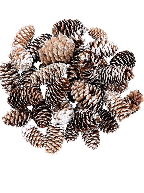 Christmas Warehouse - ORNMNT19 Natural White Frosted Natural Long Pinecone Mix | 150g Natural & White