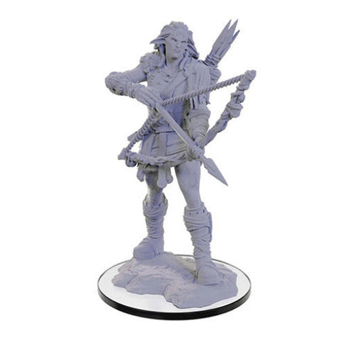 Wizkids Pathfinder Deep Cuts Miniatures: Wood Giant