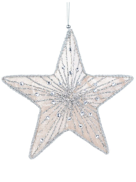 Dual Sided Champagne & Silver Star Whimsical Essential Ornament | 19cmSilver with Champagne