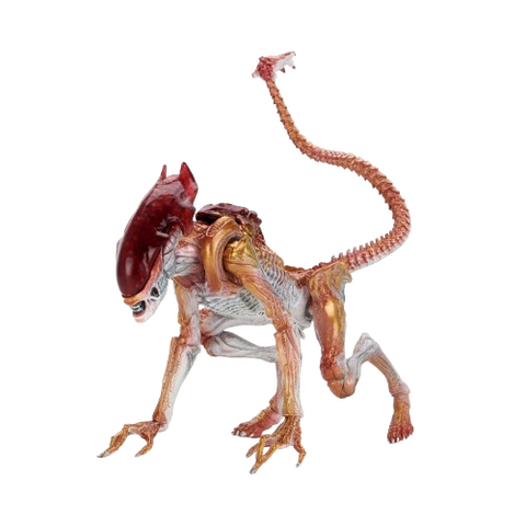 Neca Aliens Panther Alien Kenner Tribute 7'' Scale Action Figure Play Toy