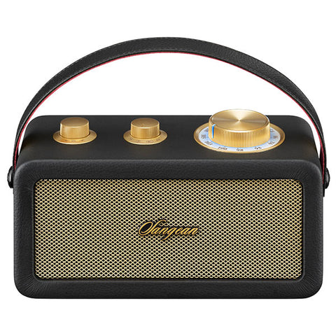 Sangean RA-101 BT Speaker with FM Radio (Black)