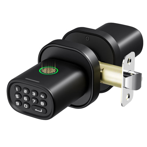Thorbolt MK1 Smart Fingerprint Doorknob (Black)