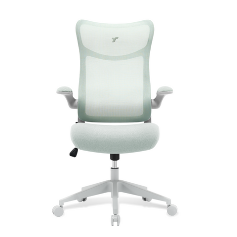 TT AIRFLEX V2 Ergochair - Minty Green