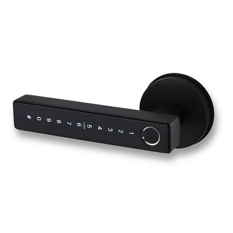 Auslock Novo Series N31B Door Handle Smart Lock (Black)