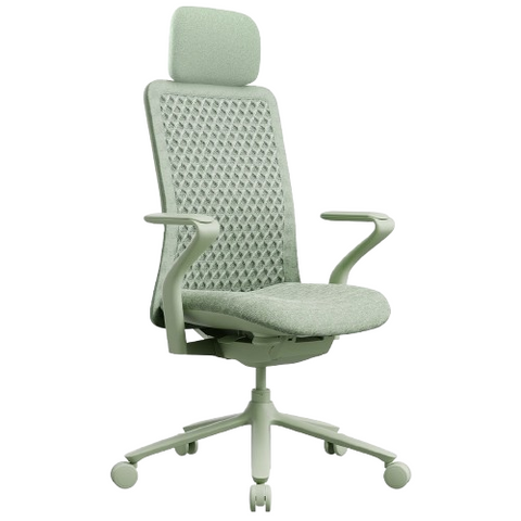 Desky Pro Ergonomic Mesh Chair with Headrest Mint Green