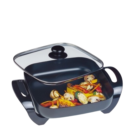 Maxim Family Electric Frypan BR01