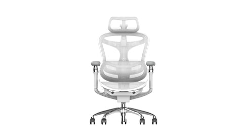 Sihoo A3 DORO-C300 Pro Ergonomic Office Chair (Grey)