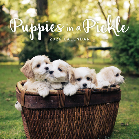 Paper Pocket Puppies in a Pickle 2026 Calendar